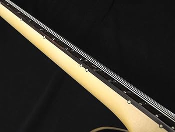 Amazon.co.jp: FGN FUJIGEN NTE10RAL CC Charcoal Neo Classic